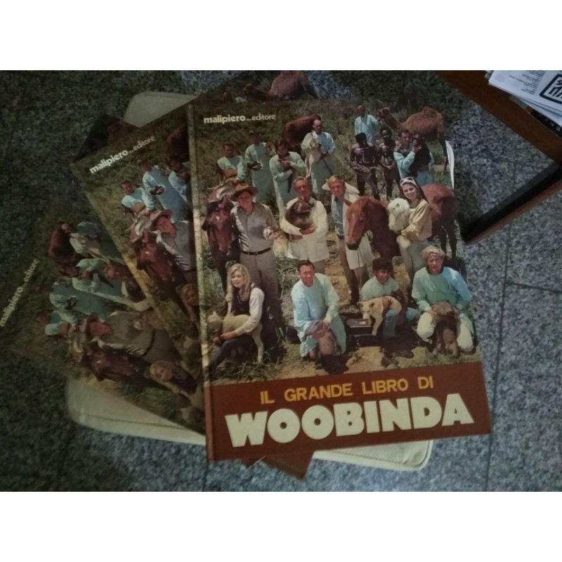 Il grande libro di Woobinda