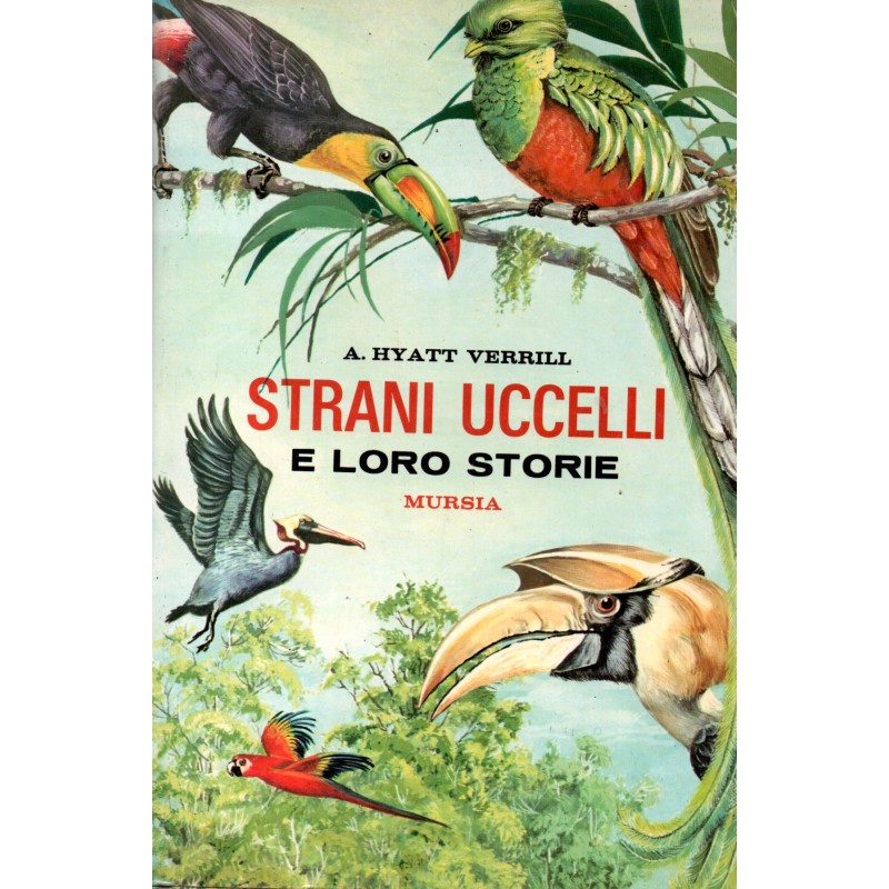 Strani uccelli e loro storie