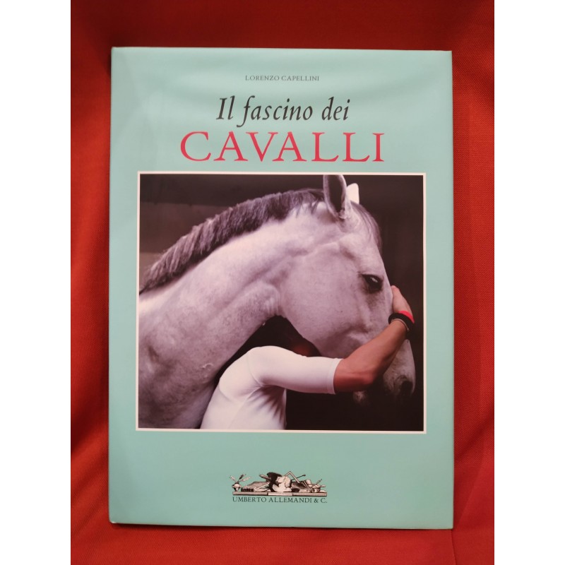 Il fascino dei cavalli