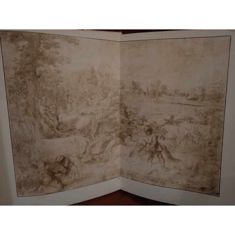 Tiziano. Disegni