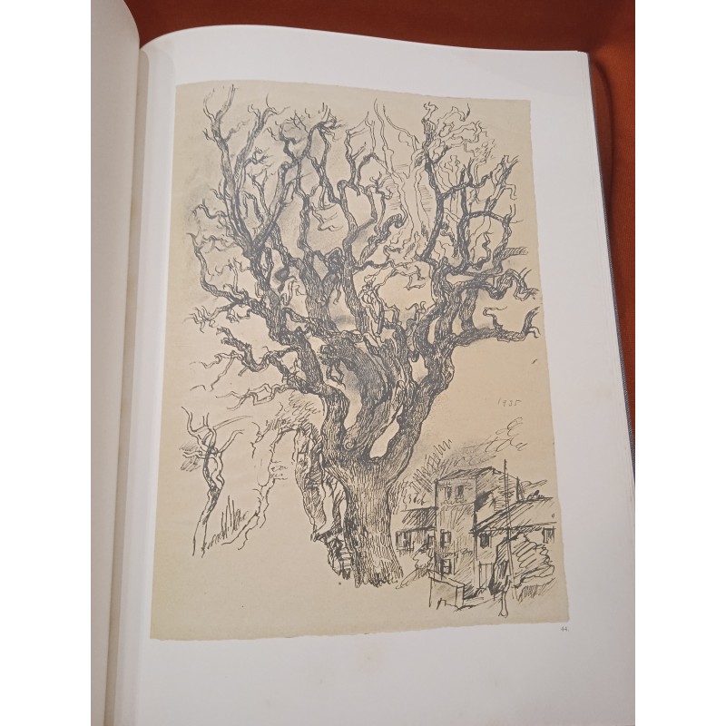 Antony De Witt. Disegni e incisioni