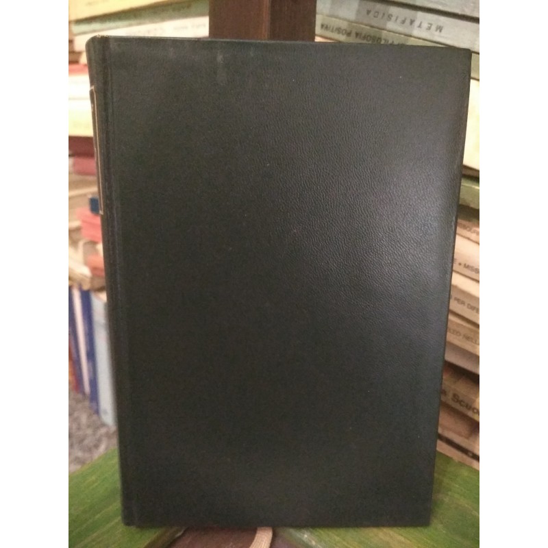 Diario - volume I