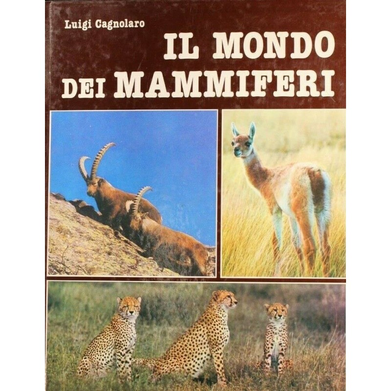 Il mondo dei mammiferi