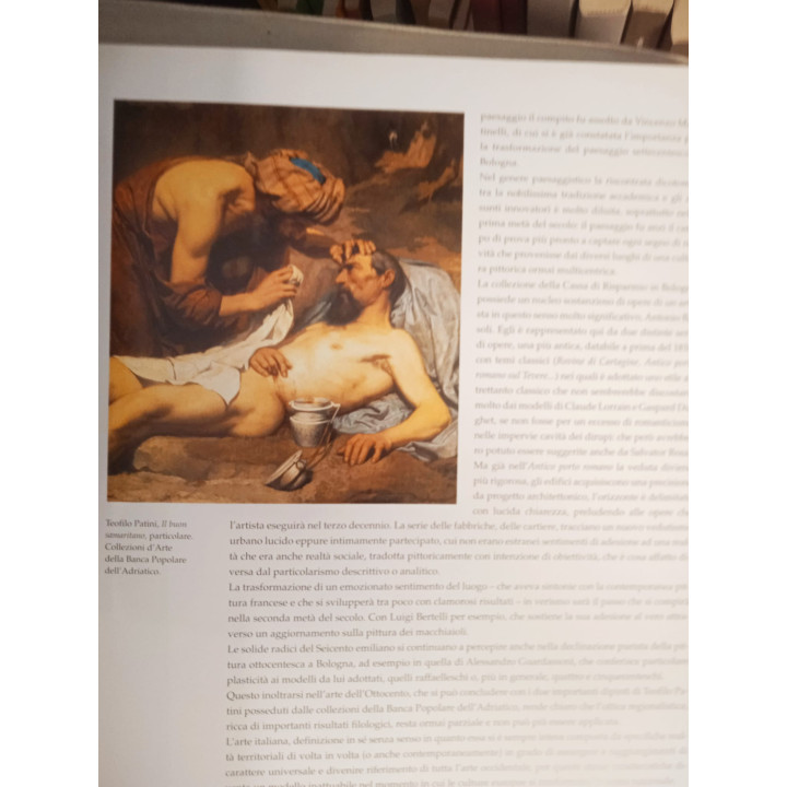 Le collezioni d'arte della Cassa di Risparmio in Bologna e della Banca Popolare dell'Adriatico