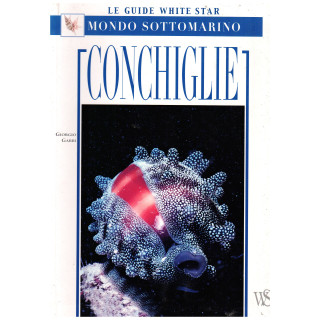 Conchiglie