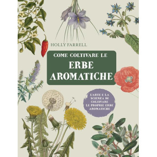 Come coltivare le erbe aromatiche