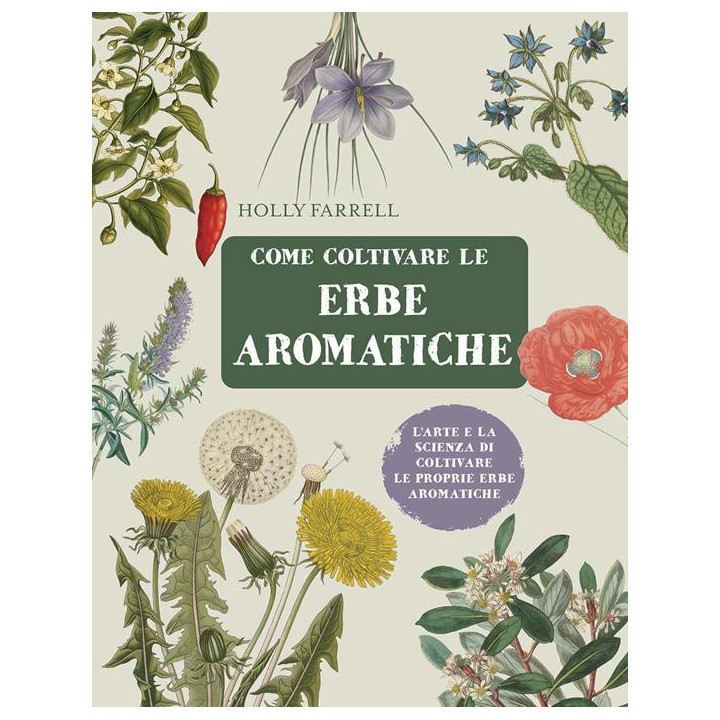 Come coltivare le erbe aromatiche
