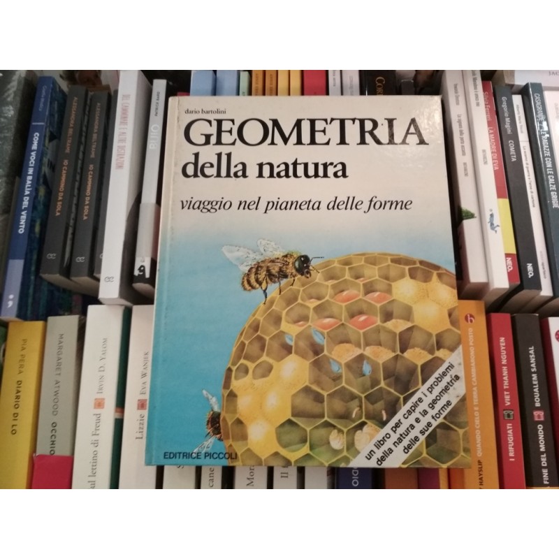 Geometria della natura